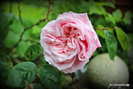 Comme le temps file...