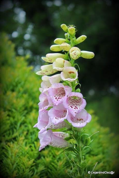 Comme le temps file...