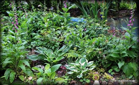 Comme le temps file...