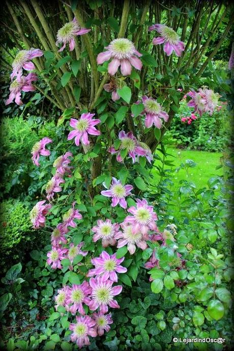 Comme le temps file...