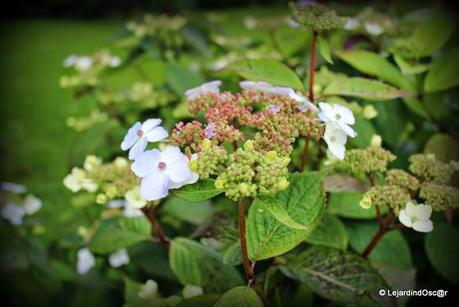 Comme le temps file...