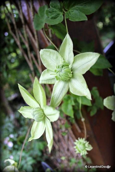 Comme le temps file...