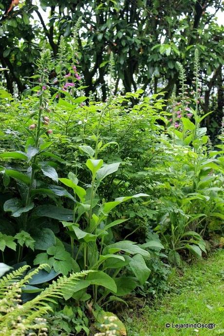 Comme le temps file...