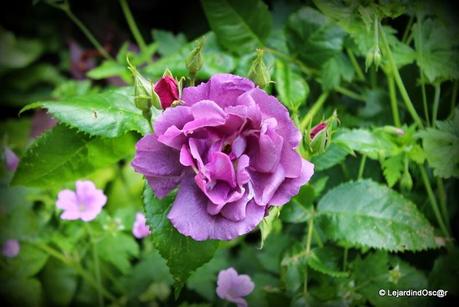 Comme le temps file...