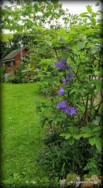 Comme le temps file...