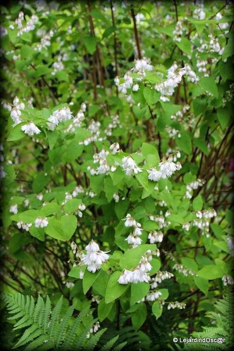 Comme le temps file...