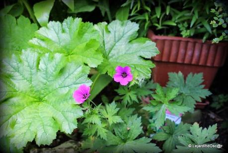 Comme le temps file...