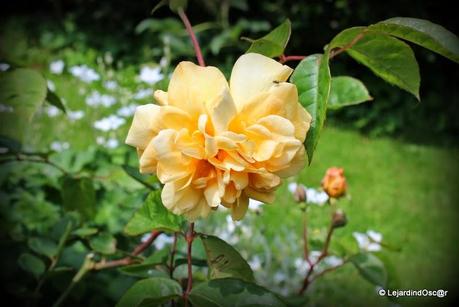 Comme le temps file...