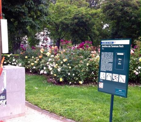 Un nouvelle photo-énigme du Delanopolis !