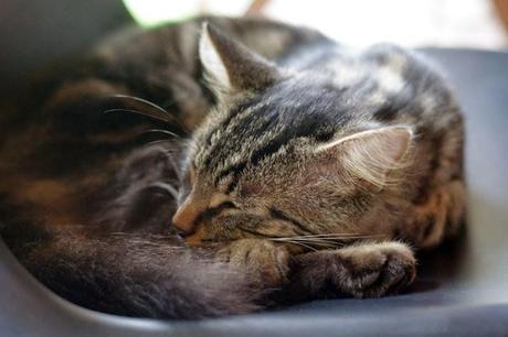 Tomber sous le charme de la Nouvelle-Calédonie Tomber sous le charme de la Nouvelle-Calédonie