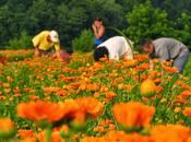 nouveau pour bébés chez Weleda (concours)