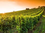 bonnes adresses dans vignoble Bergerac