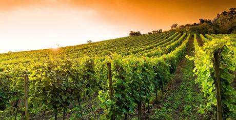 6 bonnes adresses dans le vignoble de Bergerac