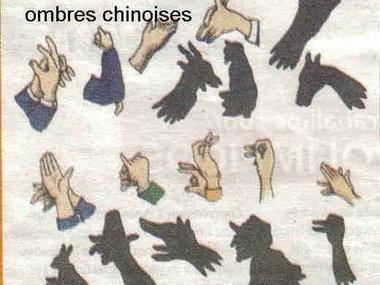 Comment se former aux ombres chinoises ?