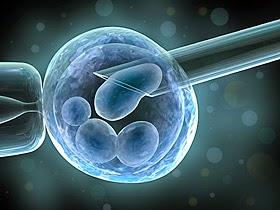 On reparle du diagnostic préimplantatoire