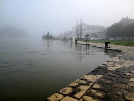 Pollution du fleuve Charente : pesticides