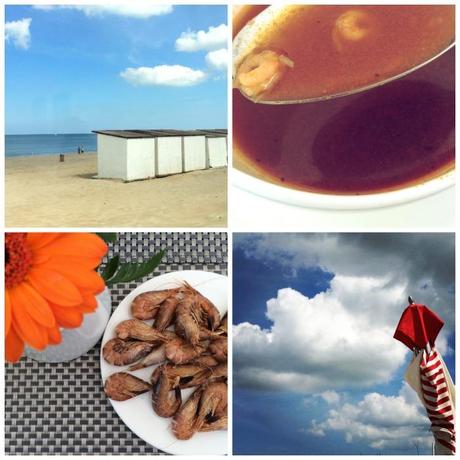 La Flandre et son Littoral... [Part 2]