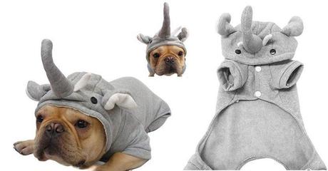cosplay-dog-animaux-chien-déguisement-mogwaii (19)