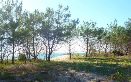 Vivement NOS vacances !