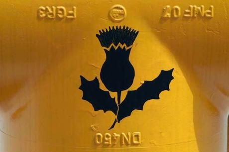 Qui s'y frotte s'y pique #309