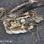 BUZZ : Les pubs sociales les plus puissantes !