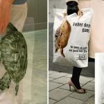 BUZZ : Les pubs sociales les plus puissantes !