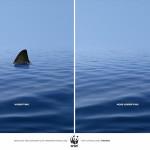 BUZZ : Les pubs sociales les plus puissantes !