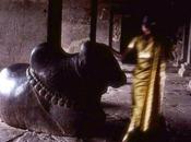 PHOTOGRAPHIE Erviel STéPHANE