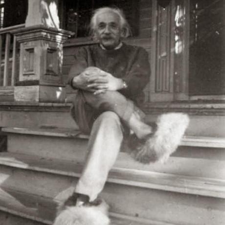 La Photo du Vendredi #2 Albert Einstein et ses chaussures à poils