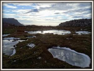Mount-Field_national-park_frozen-puddles