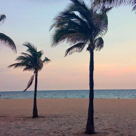 La Floride... version iPhone #vacation