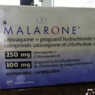 La Malaria (paludisme) à Puerto Maldonado