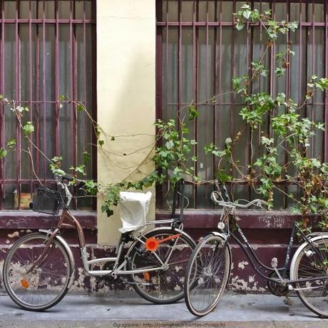 IMG_20140602_002445_1_gagaone