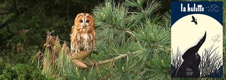 La_hulotte