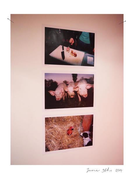 Lancement du magazine Sottises sottises7 Lancement du magazine Sottises