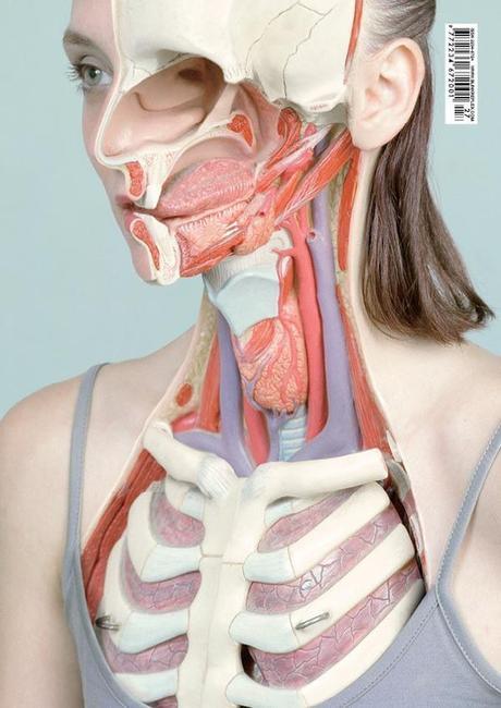 Modische Atlas der Anatomie