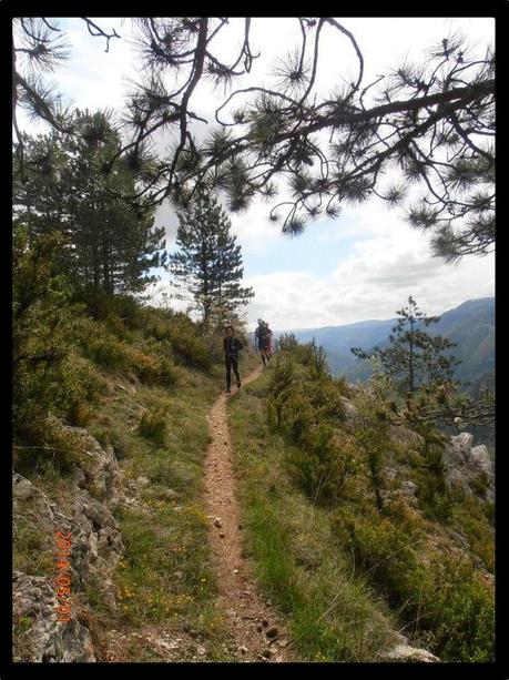 La Salta Bartas du Lozère Trail : une course sensas !