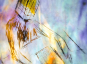 Concert Motus, musique contemporaine mardi juin