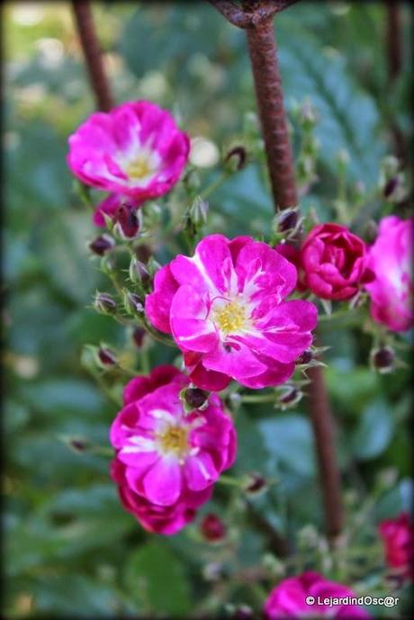 Joindre l'utile à l'agréable...