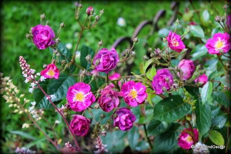 Joindre l'utile à l'agréable...