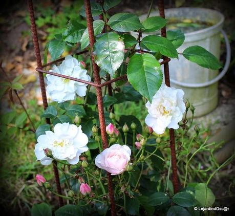 Joindre l'utile à l'agréable...
