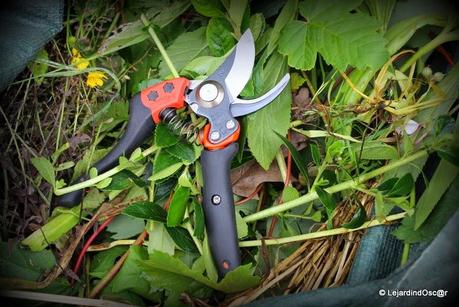 Joindre l'utile à l'agréable...