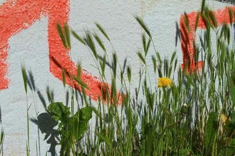 HOME chapitre 6  : un best of, autour de Massenet