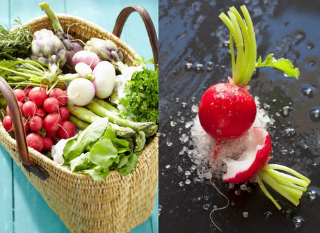 LE QUOTIDIEN & VOUS > Gastronomie - Petit radis redevient grand