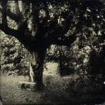 PHOTOGRAPHIE : Alex Timmermans !