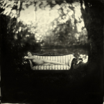 PHOTOGRAPHIE : Alex Timmermans !