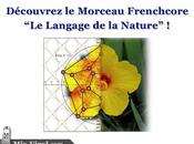 Morceau Frenchcore Mélodique Langage Nature (FREE DOWNLOAD WAVE MP3)