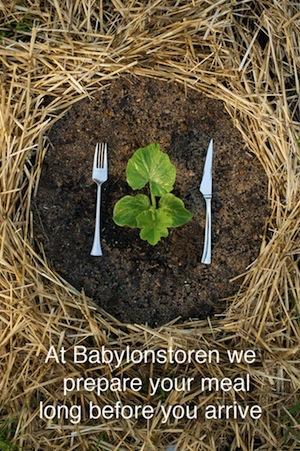 263 Une harmonie parfaite