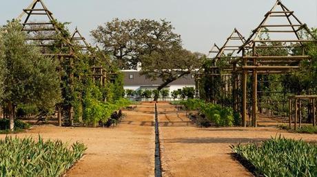 141 Une harmonie parfaite