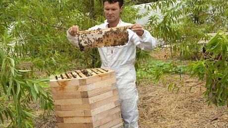 140 Une harmonie parfaite